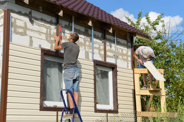 Best Vinyl Siding Installation  in Stro Valley, CA